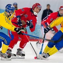 Хоккей с мячом, Чемпионат мира-2019, финал, Швеция-Россия, 02.02.19. Повторится ли тенденция с завоеванием золота хозяевами?