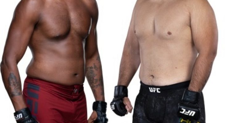 UFC ON ESPN 3. Поединок между Джастином Ледетом и Далчей Лунгиамбулой. Прогноз на бой