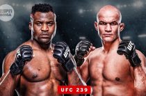 UFC 239. Прогноз на бой между камерунцем Фрэнсисом Нганну и бразильским спортсменом Джуниором Дос Сантососм